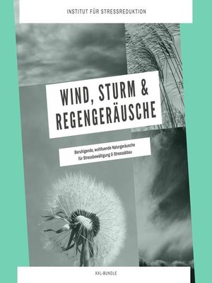 cover image of Wind, Sturm & Regengeräusche